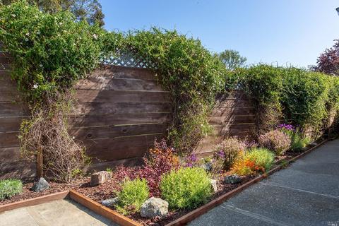330 Starling Rd, Mill Valley, CA 94941 photo 26
