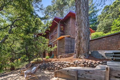 88 Magee Ave, Mill Valley, CA 94941 photo 40