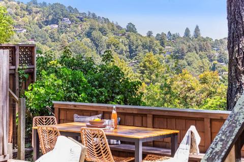 88 Magee Ave, Mill Valley, CA 94941 photo 38