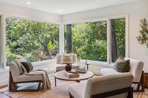 88 Magee Ave, Mill Valley, CA 94941 photo 13