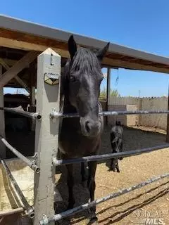50 Broadway Ln, Oakley, CA 94561 photo 19