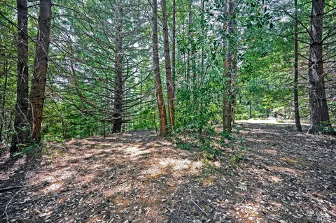 37355 Mountain View Rd, Manchester, CA 95459 photo 12
