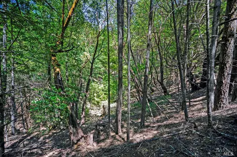 37355 Mountain View Rd, Manchester, CA 95459 photo 17