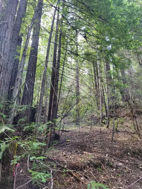 0 Lot Group 2 Tyrone Rd, Camp Meeker, CA 95419