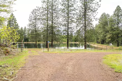 32190 Forward Rd, Manton, CA 96059 photo 4