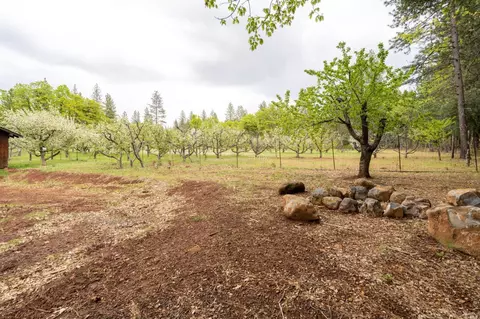 32190 Forward Rd, Manton, CA 96059 photo 22