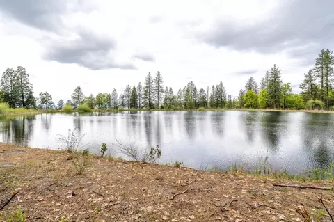 32190 Forward Rd, Manton, CA 96059 photo 6