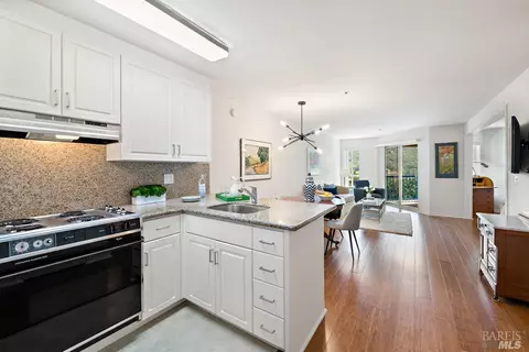 100 Thorndale Dr #308, San Rafael, CA 94903