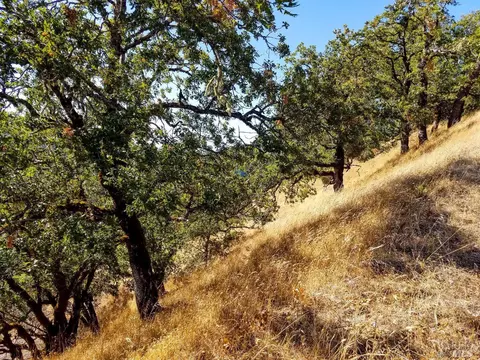 0 Ridgeview Rd, Willits, CA 95490 photo 11