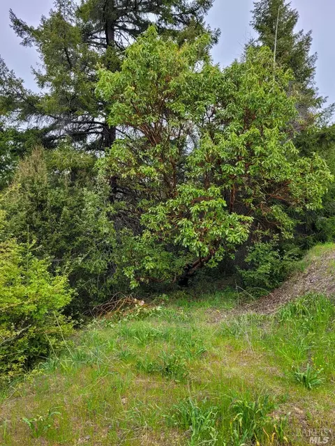 0 Ridgeview Rd, Willits, CA 95490 photo 24