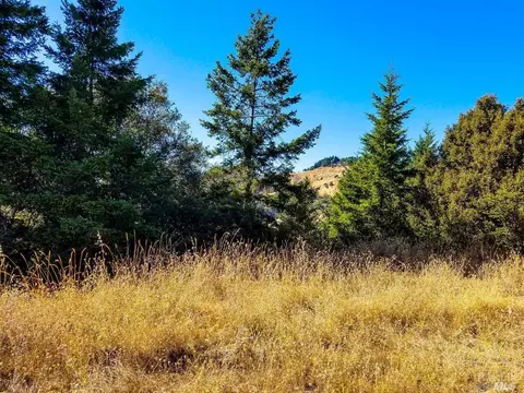 0 Ridgeview Rd, Willits, CA 95490 photo 30