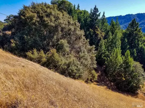 0 Ridgeview Rd, Willits, CA 95490 photo 9