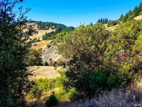 0 Ridgeview Rd, Willits, CA 95490 photo 27