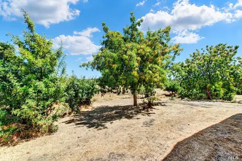 8299 Olive School Ln, Winters, CA 95694 photo 38