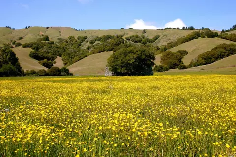 192 Redwood Dr, Woodacre, CA 94973