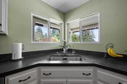 17383 Willow Creek Rd, Occidental, CA 95465 photo 18