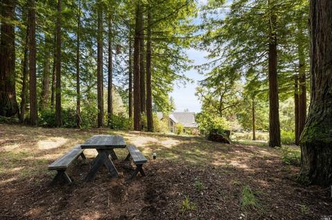 17383 Willow Creek Rd, Occidental, CA 95465 photo 47