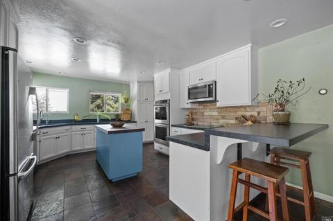 17383 Willow Creek Rd, Occidental, CA 95465 photo 15