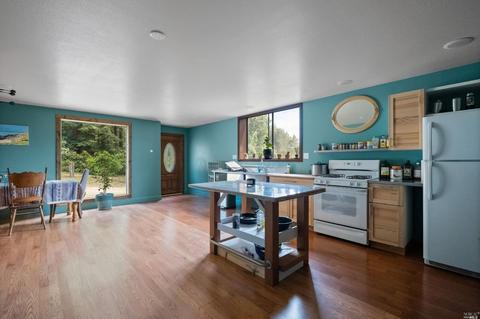 17383 Willow Creek Rd, Occidental, CA 95465 photo 45