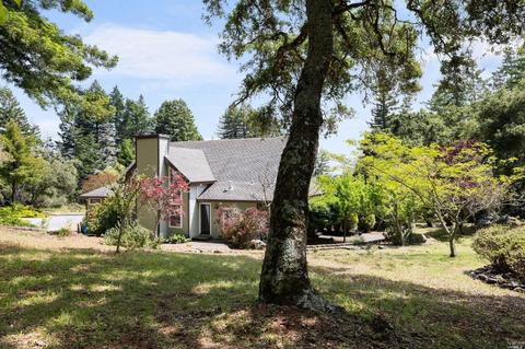 17383 Willow Creek Rd, Occidental, CA 95465 photo 48