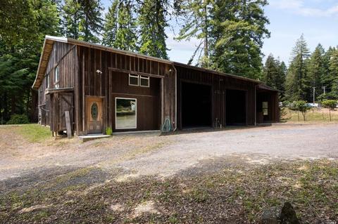 17383 Willow Creek Rd, Occidental, CA 95465 photo 39