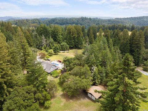 17383 Willow Creek Rd, Occidental, CA 95465 photo 34