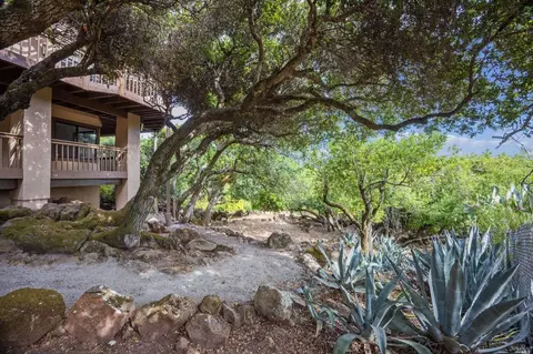 59 Second St E, Sonoma, CA 95476 photo 54
