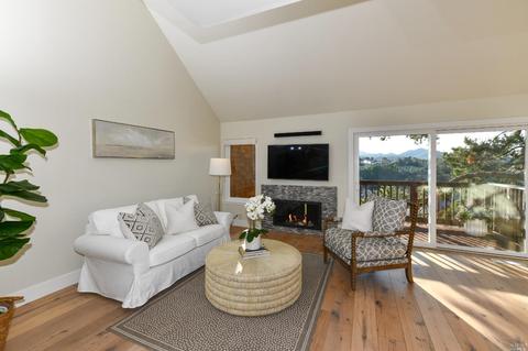 91 Milland Dr, Mill Valley, CA 94941 photo 8