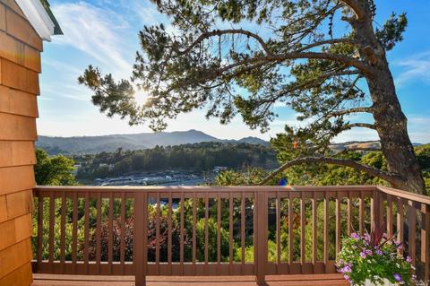 91 Milland Dr, Mill Valley, CA 94941 photo 9