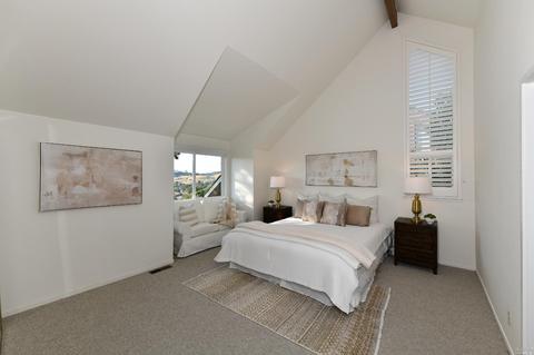 91 Milland Dr, Mill Valley, CA 94941 photo 22