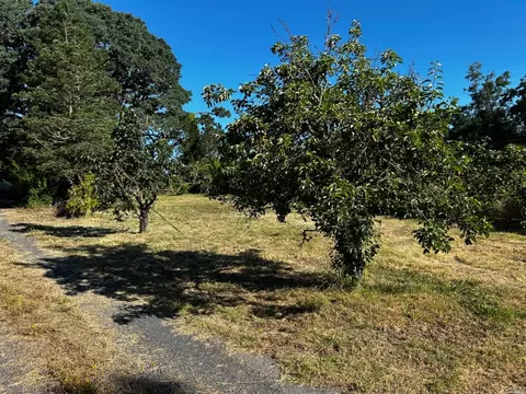 1650 Windsor River Rd, Windsor, CA 95492 photo 11