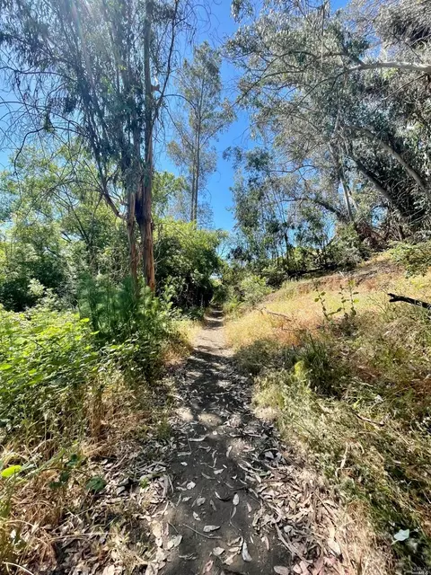 169 James River Rd, Vallejo, CA 94591 photo 24