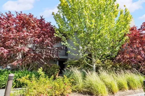 24 Cypress Pl, Sausalito, CA 94965 photo 42