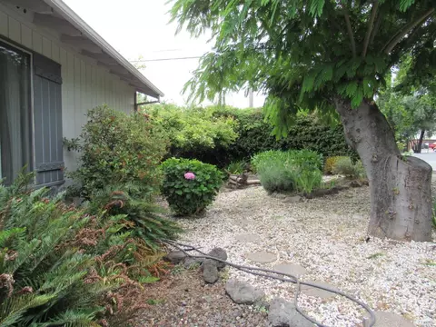 998 Cherry Ave, Sonoma, CA 95476 photo 3