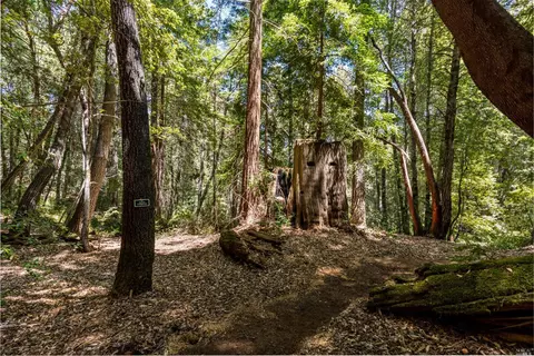 30901 Timberline Rd, Willits, CA 95490 photo 48