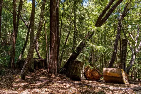 30901 Timberline Rd, Willits, CA 95490 photo 53