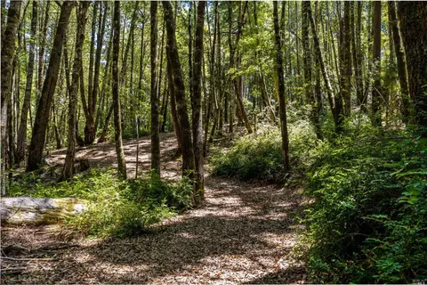 30901 Timberline Rd, Willits, CA 95490 photo 51