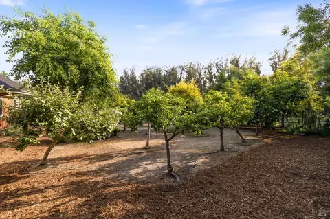 718 Pepper Rd, Petaluma, CA 94952 photo 40