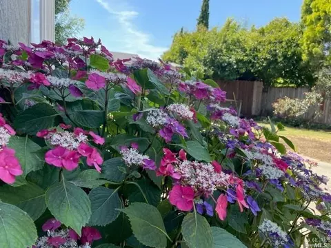 1760 Severus Dr, Vallejo, CA 94589 photo 9