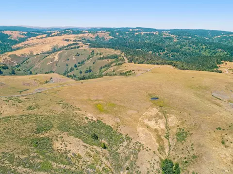 22219 Coleman Valley Rd, Occidental, CA 95465 photo 9