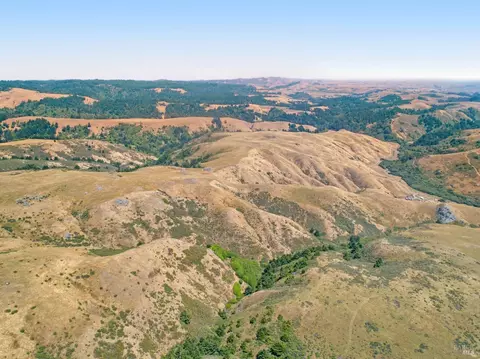 22219 Coleman Valley Rd, Occidental, CA 95465 photo 11