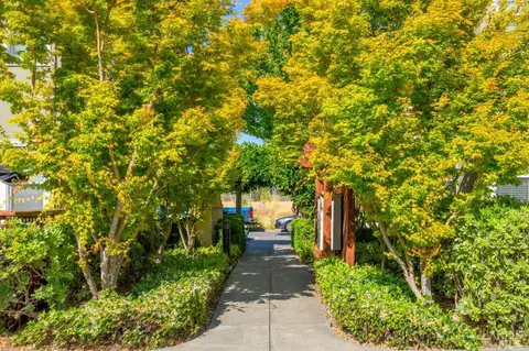 6589 Santero Way, Cotati, CA 94931 photo 4