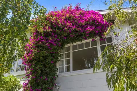 291 E Blithedale Ave, Mill Valley, CA 94941 photo 4
