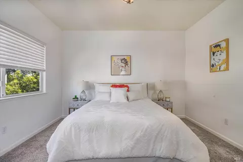 313 Jessie Ct, Windsor, CA 95492 photo 44