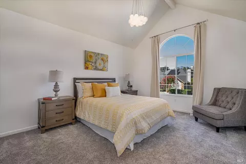 313 Jessie Ct, Windsor, CA 95492 photo 45