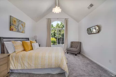 313 Jessie Ct, Windsor, CA 95492 photo 46