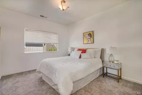 313 Jessie Ct, Windsor, CA 95492 photo 43