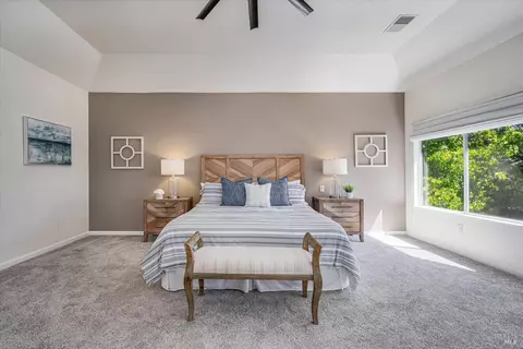 313 Jessie Ct, Windsor, CA 95492 photo 33