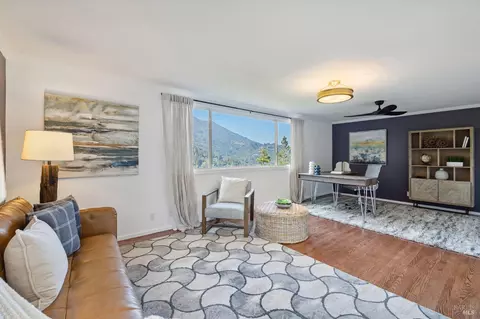 440 Edgewood Ave, Mill Valley, CA 94941 photo 50