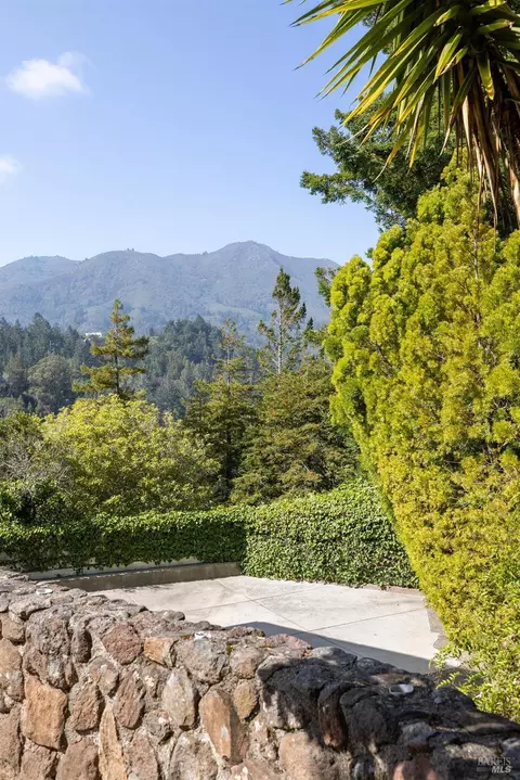 440 Edgewood Ave, Mill Valley, CA 94941 photo 59